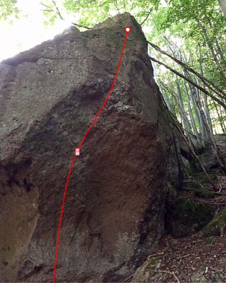 minitopo