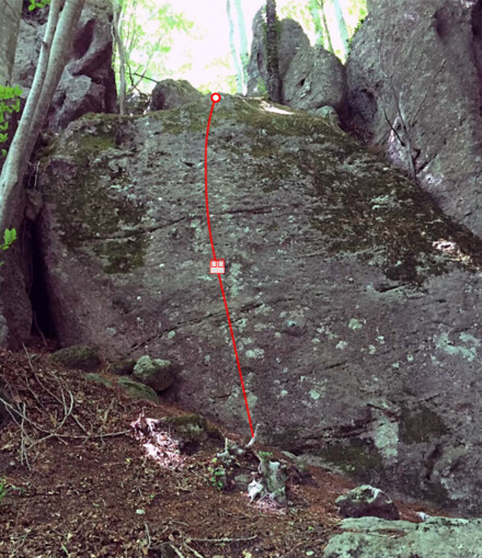 minitopo