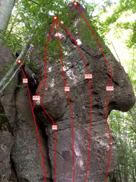 minitopo