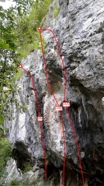 minitopo