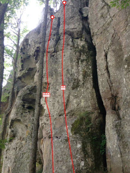 minitopo