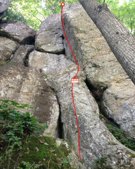 minitopo