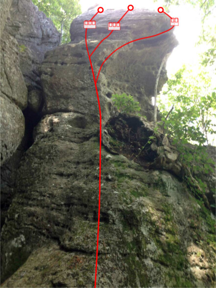 minitopo