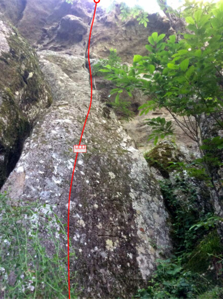minitopo
