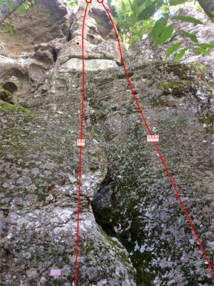 minitopo