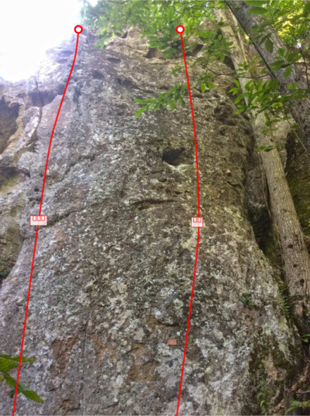 minitopo
