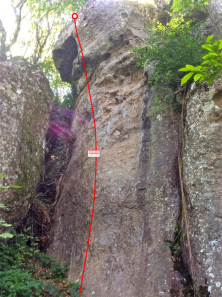minitopo