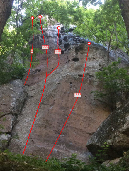 minitopo