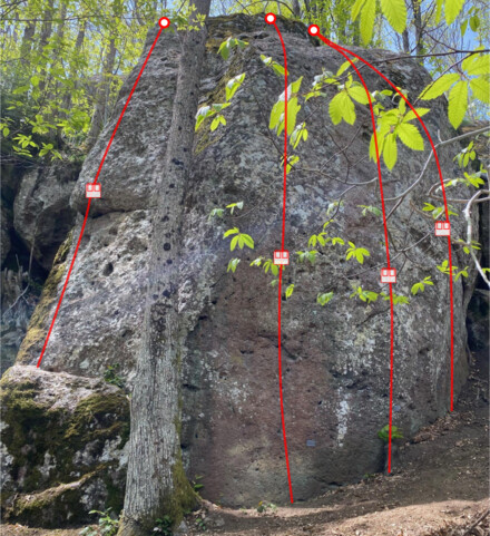 minitopo