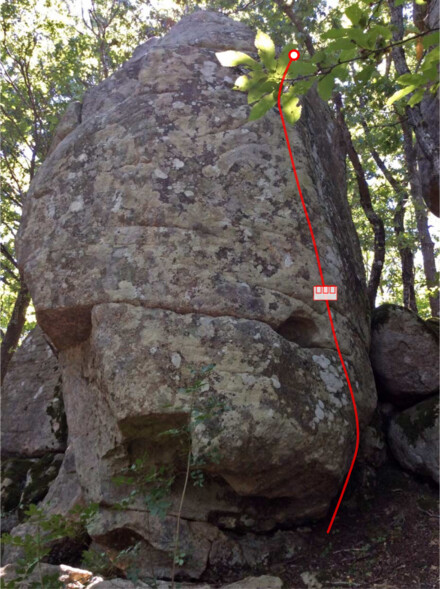 minitopo