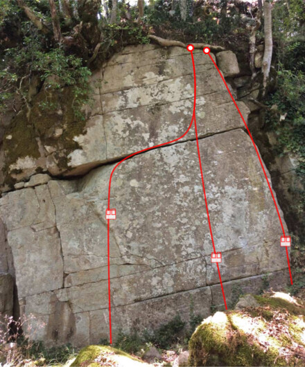 minitopo
