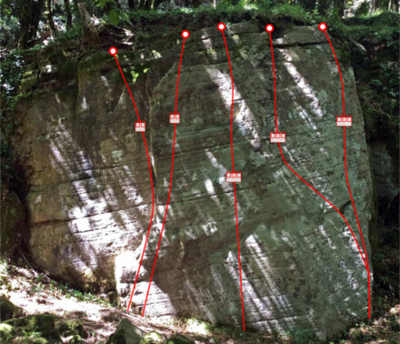 minitopo