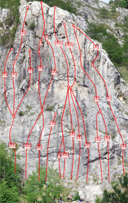 minitopo